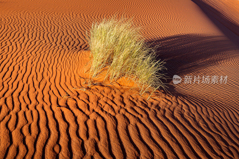 沙子和Erg Chebbi沙漠，Merzouga，摩洛哥，北非